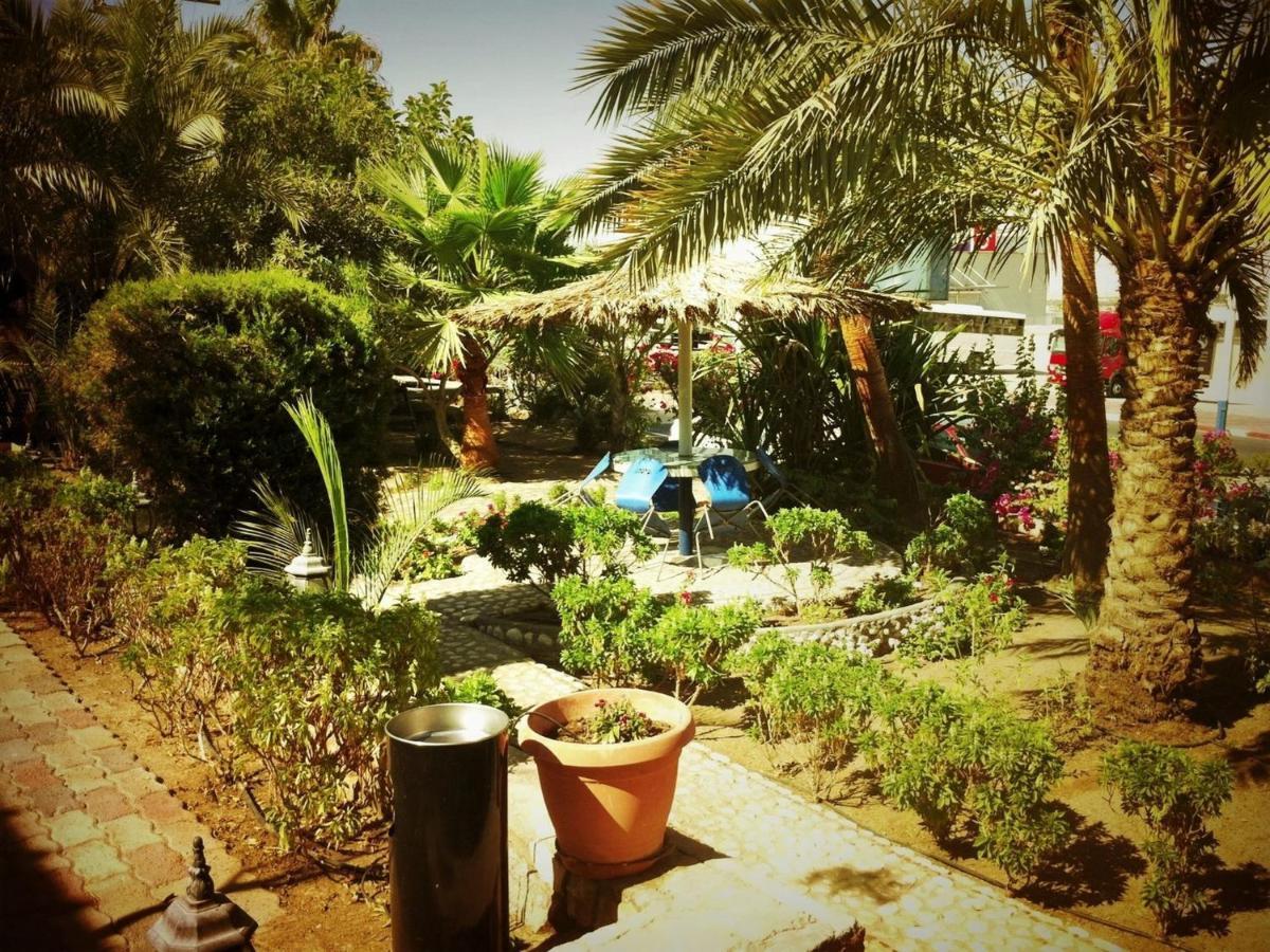 Arava Hostel Ελάτ Εξωτερικό φωτογραφία